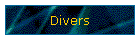 Divers